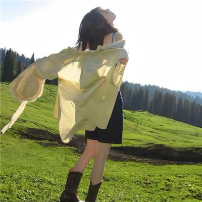 陆小凤传奇之决战前后